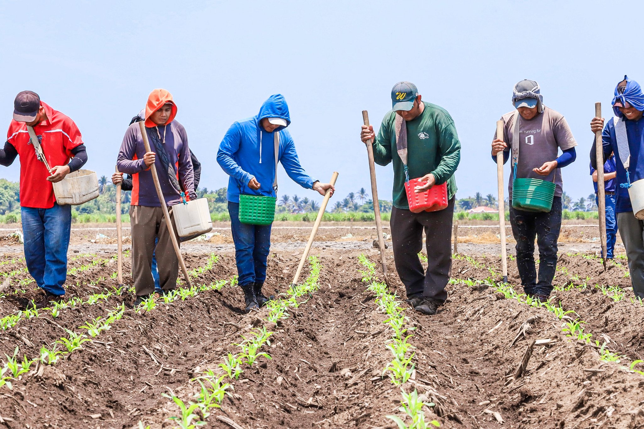Agricultores de 11 municipios se convierten en comercializadores con apoyo del Gobierno agricultores-de-11-municipios-se-convierten-en-comercializadores-con-apoyo-del-gobierno